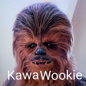 Meet your Posher, Semaj